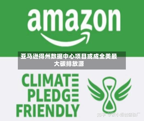 亚马逊得州数据中心项目或成全美最大碳排放源-第3张图片