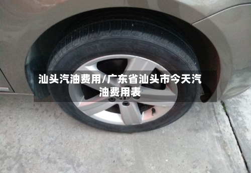 汕头汽油费用/广东省汕头市今天汽油费用表