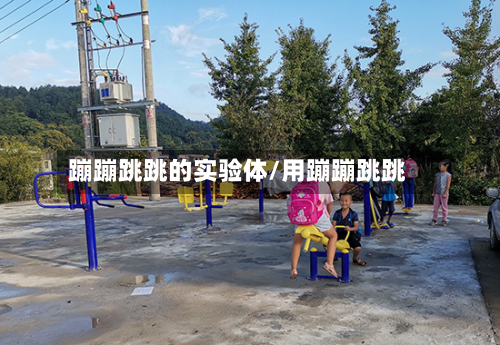蹦蹦跳跳的实验体/用蹦蹦跳跳-第3张图片