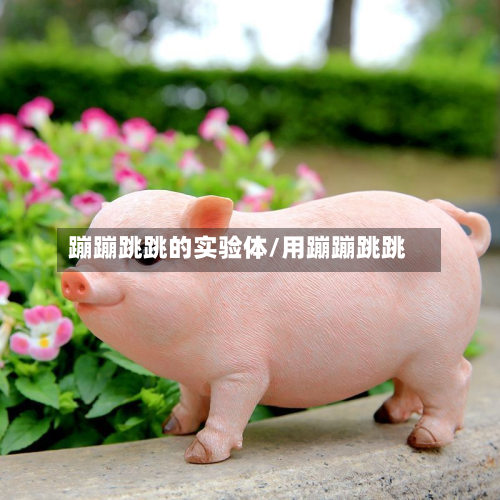 蹦蹦跳跳的实验体/用蹦蹦跳跳