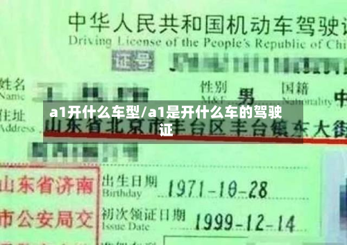 a1开什么车型/a1是开什么车的驾驶证-第2张图片