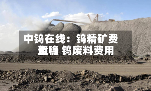 中钨在线:钨精矿费用
暂稳 钨废料费用
上行-第2张图片
