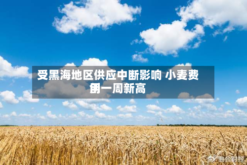 受黑海地区供应中断影响 小麦费用
创一周新高-第2张图片