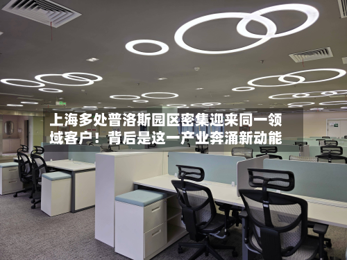 上海多处普洛斯园区密集迎来同一领域客户！背后是这一产业奔涌新动能