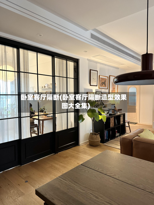 卧室客厅隔断(卧室客厅隔断造型效果图大全集)-第3张图片