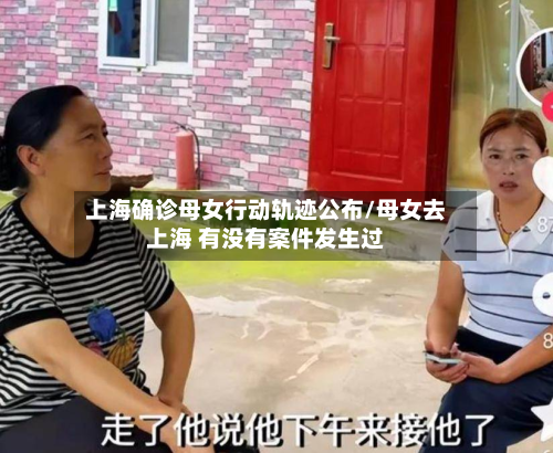 上海确诊母女行动轨迹公布/母女去上海 有没有案件发生过