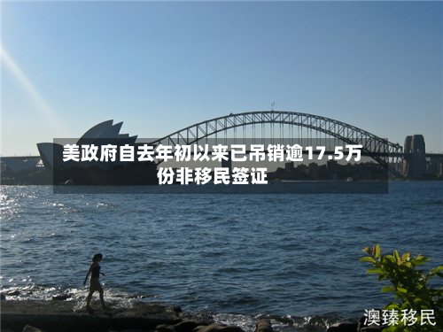 美政府自去年初以来已吊销逾17.5万份非移民签证-第2张图片