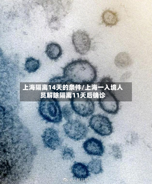 上海隔离14天的条件/上海一入境人员解除隔离11天后确诊-第2张图片