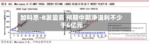 加科思-B发盈喜 预期中期净溢利不少于6亿元-第1张图片