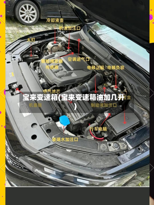 宝来变速箱(宝来变速箱油加几升)-第3张图片