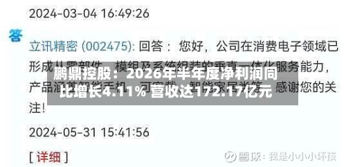 鹏鼎控股:2026年半年度净利润同比增长4.11% 营收达172.17亿元-第2张图片