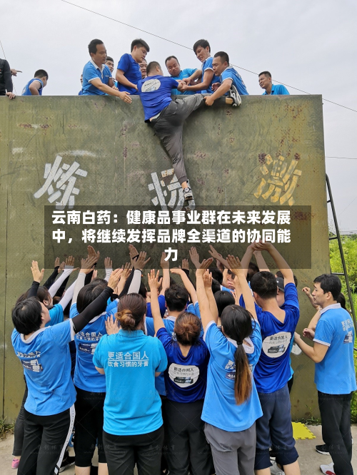云南白药：健康品事业群在未来发展中	，将继续发挥品牌全渠道的协同能力-第1张图片