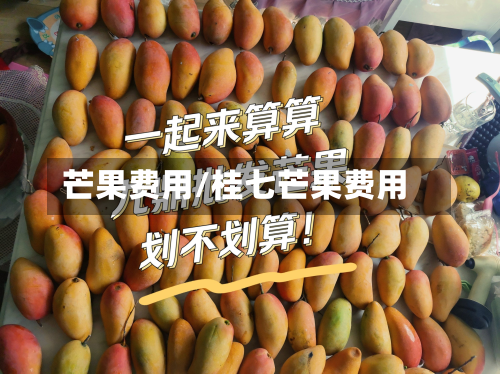 芒果费用/桂七芒果费用-第2张图片