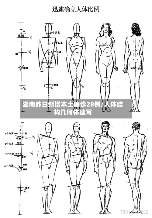 湖南昨日新增本土确诊28例/人体结构几何体速写-第3张图片