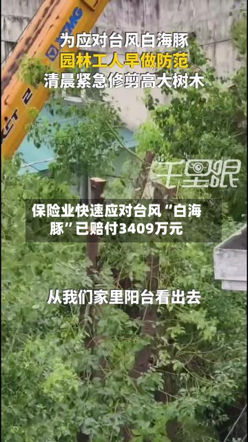 保险业快速应对台风“白海豚”已赔付3409万元-第2张图片
