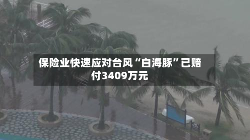 保险业快速应对台风“白海豚”已赔付3409万元