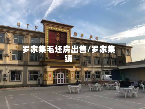 罗家集毛坯房出售/罗家集镇-第2张图片