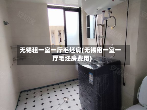 无锡租一室一厅毛坯房(无锡租一室一厅毛坯房费用)