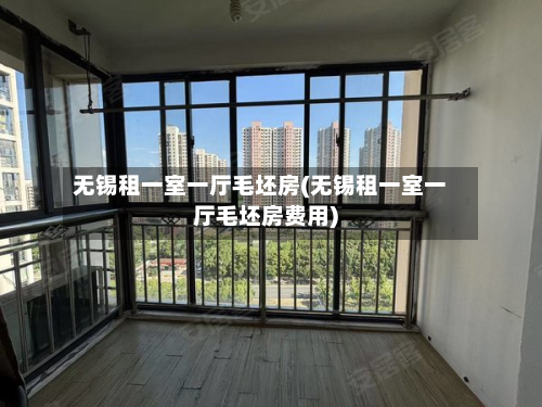 无锡租一室一厅毛坯房(无锡租一室一厅毛坯房费用)-第2张图片