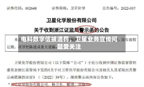 电科数字信披遭罚，卫星业务宣传问题受关注-第2张图片