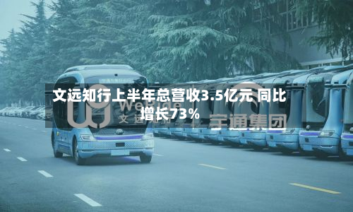文远知行上半年总营收3.5亿元 同比增长73%-第3张图片