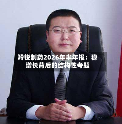 羚锐制药2026年半年报:稳增长背后的结构性考题-第2张图片