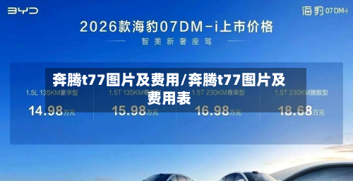 奔腾t77图片及费用/奔腾t77图片及费用表-第2张图片