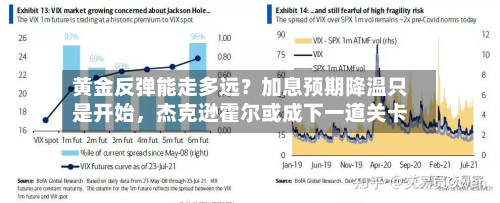 黄金反弹能走多远？加息预期降温只是开始，杰克逊霍尔或成下一道关卡-第3张图片