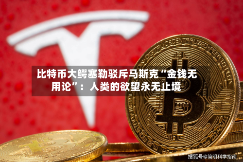 比特币大鳄塞勒驳斥马斯克“金钱无用论”：人类的欲望永无止境-第2张图片