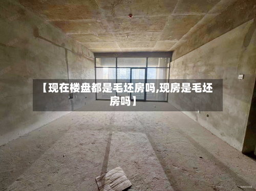 【现在楼盘都是毛坯房吗,现房是毛坯房吗】