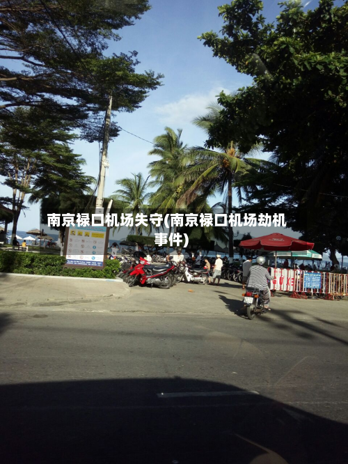 南京禄口机场失守(南京禄口机场劫机事件)