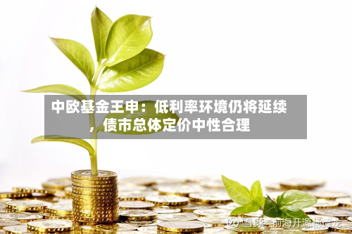 中欧基金王申：低利率环境仍将延续	，债市总体定价中性合理-第2张图片