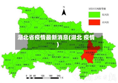 湖北省疫情最新消息(湖北 疫情)
