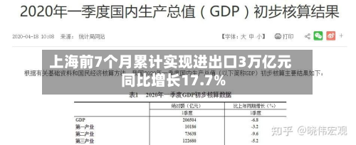 上海前7个月累计实现进出口3万亿元 同比增长17.7%