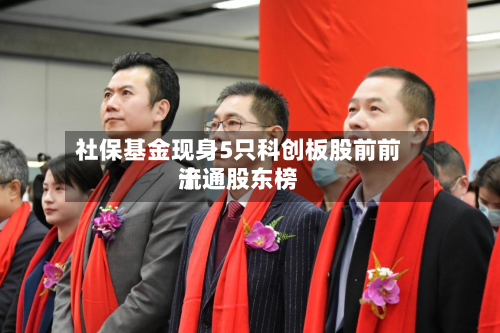 社保基金现身5只科创板股前前十
流通股东榜-第3张图片