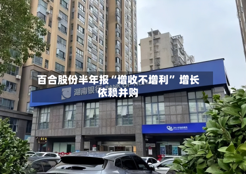 百合股份半年报“增收不增利” 增长依赖并购-第2张图片