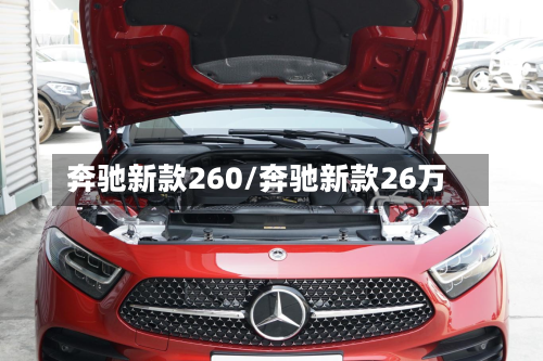 奔驰新款260/奔驰新款26万