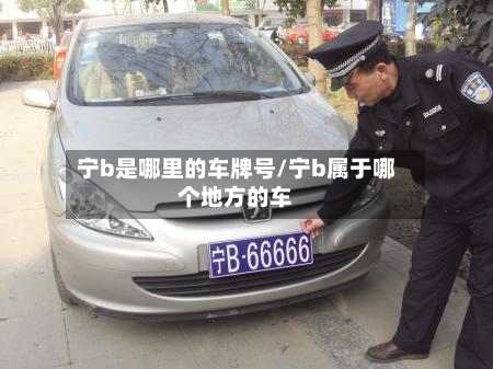 宁b是哪里的车牌号/宁b属于哪个地方的车-第3张图片