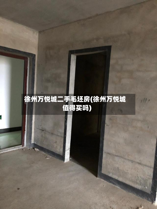 徐州万悦城二手毛坯房(徐州万悦城值得买吗)