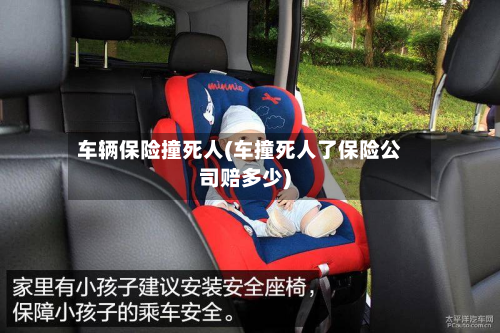 车辆保险撞死人(车撞死人了保险公司赔多少)-第3张图片