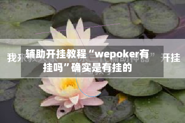 辅助开挂教程“wepoker有挂吗”确实是有挂的-第2张图片