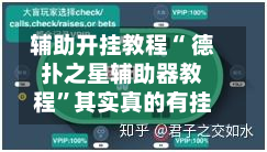 辅助开挂教程“ 德扑之星辅助器教程”其实真的有挂