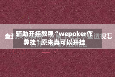 辅助开挂教程“wepoker作弊挂”原来真可以开挂