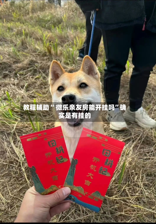 教程辅助“ 微乐亲友房能开挂吗”确实是有挂的-第2张图片
