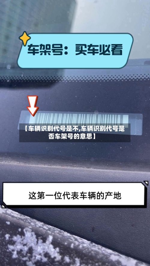 【车辆识别代号是不,车辆识别代号是否车架号的意思】
