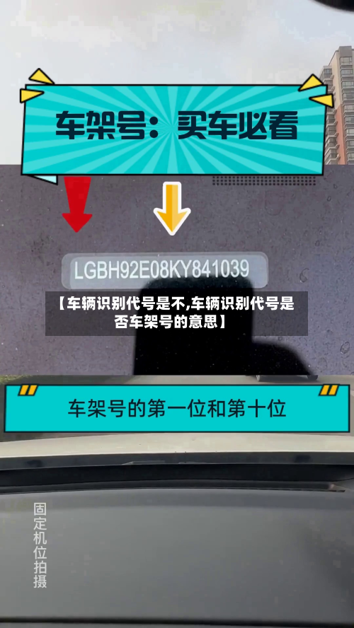 【车辆识别代号是不,车辆识别代号是否车架号的意思】-第2张图片