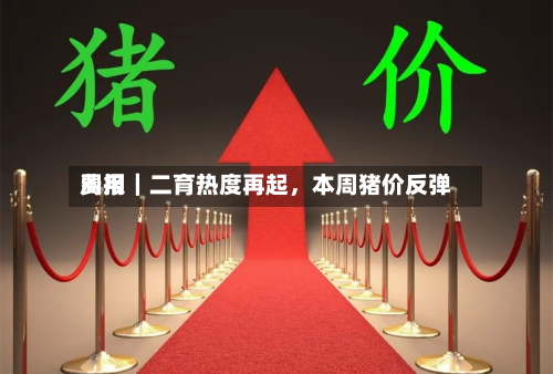 费用周报｜二育热度再起，本周猪价反弹-第2张图片