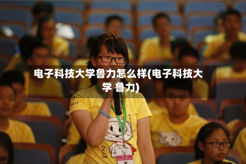 电子科技大学鲁力怎么样(电子科技大学 鲁力)-第2张图片