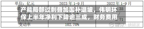 产能局部过剩叠加国补退坡，伟明环保上半年净利下降逾三成	，财务费用同比激增-第2张图片