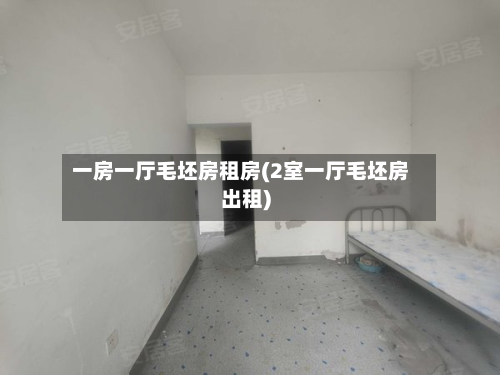 一房一厅毛坯房租房(2室一厅毛坯房出租)-第2张图片